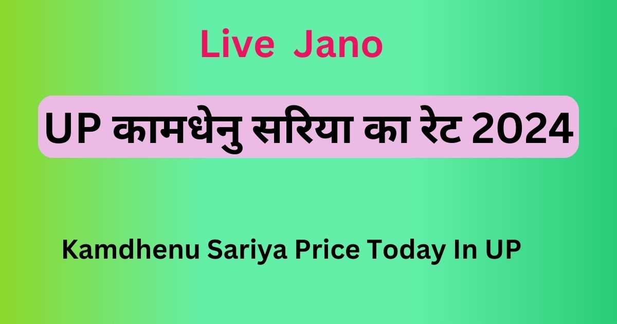 Kamdhenu Sariya Price Today In UP