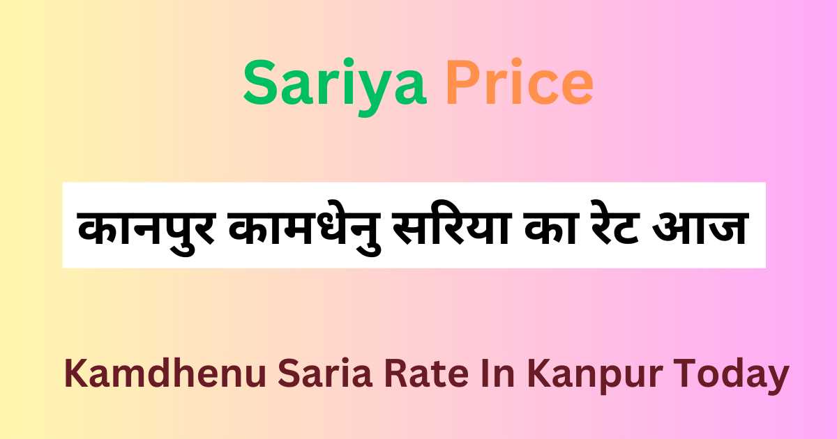 Kamdhenu Saria Rate In Kanpur Today