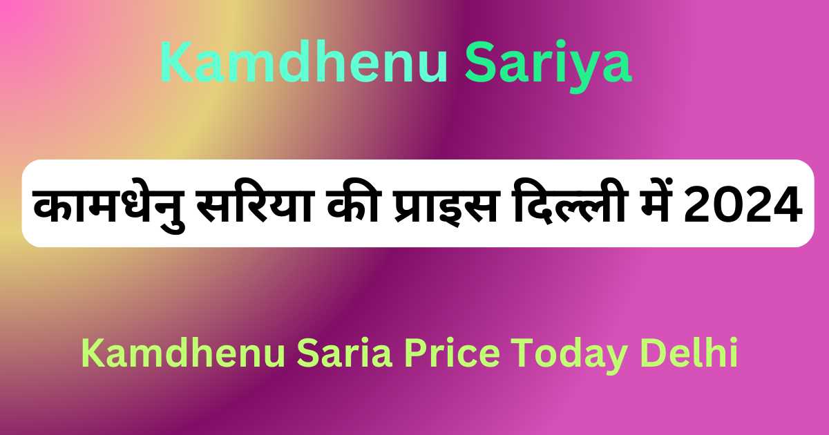 Kamdhenu Saria Price Today Delhi