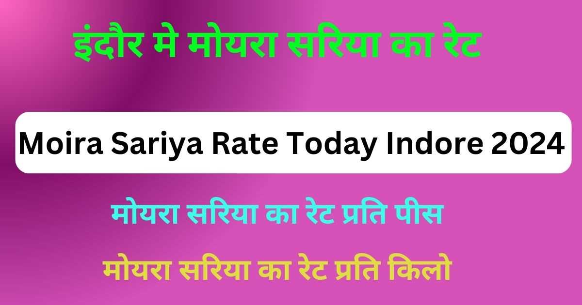 Moira Sariya Rate Today Indore